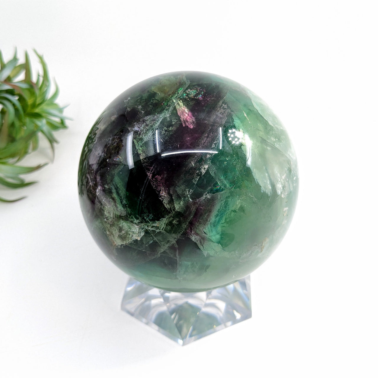 Fluorite  3.7" Sphere #LV6229