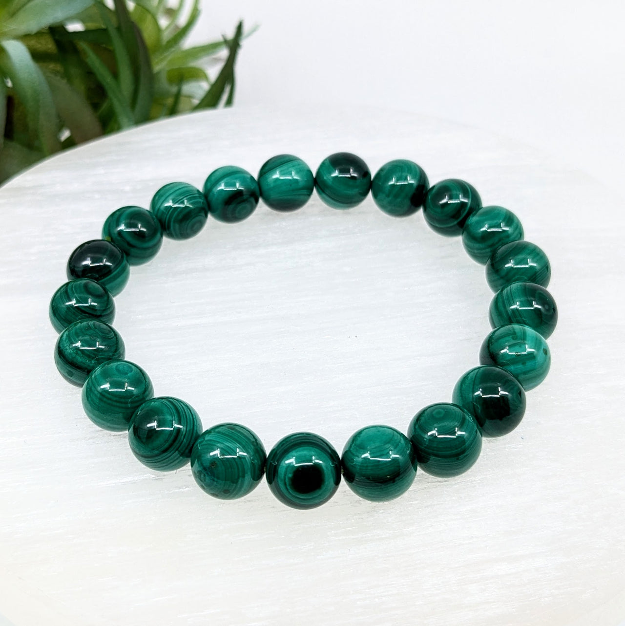 Malachite 8mm Bracelet #LV6265