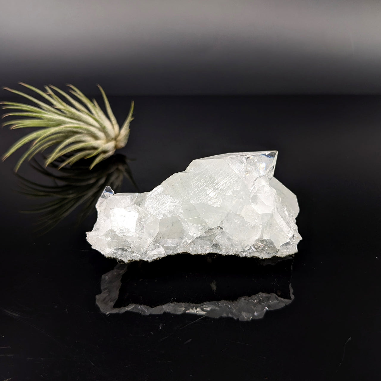 Diamond Apophyllite 3" Natural Cluster #LV6306