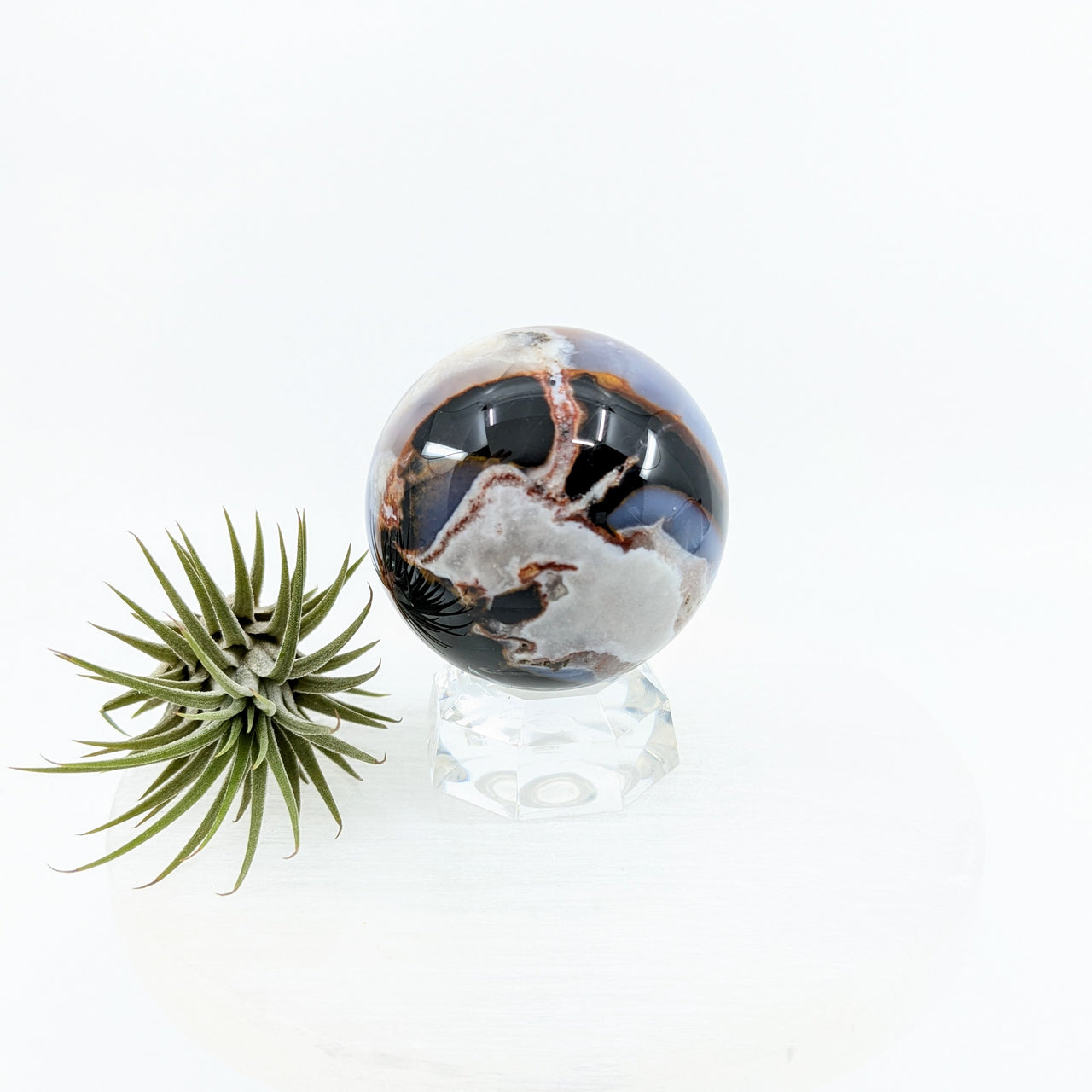 Sardonyx 1.8" Sphere #LV6318