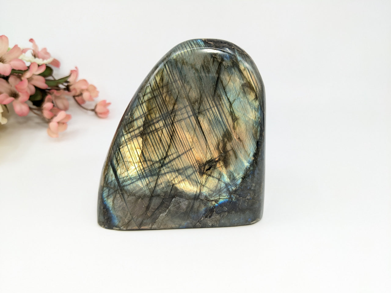 Labradorite 3.7" Freeform #LV6350