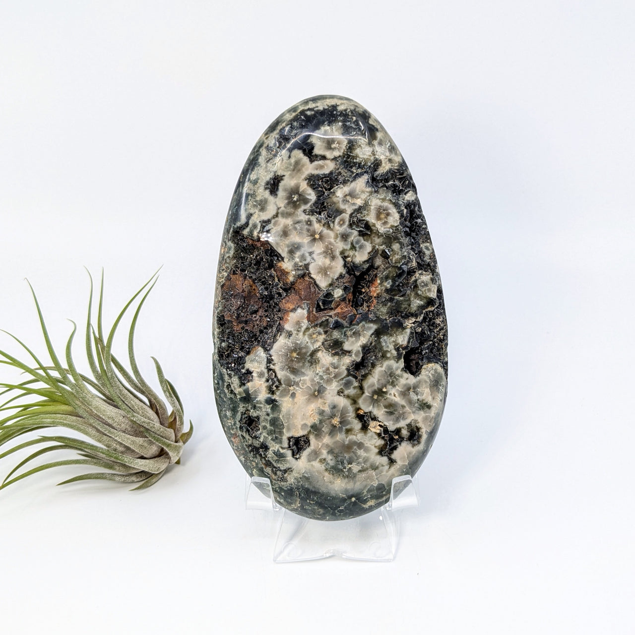 Green Ocean Jasper 5.3" Polished Druzy Specimen #LV6359