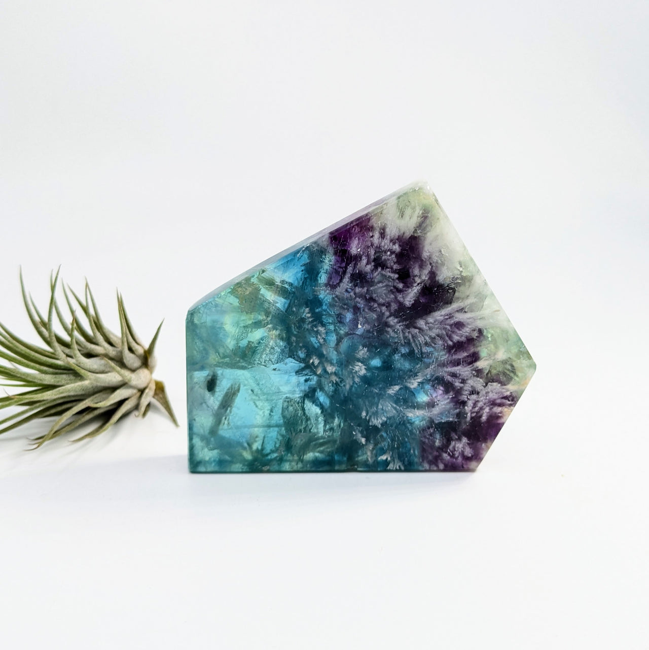 Fluorite  3.1" Geo Slice #LV6378