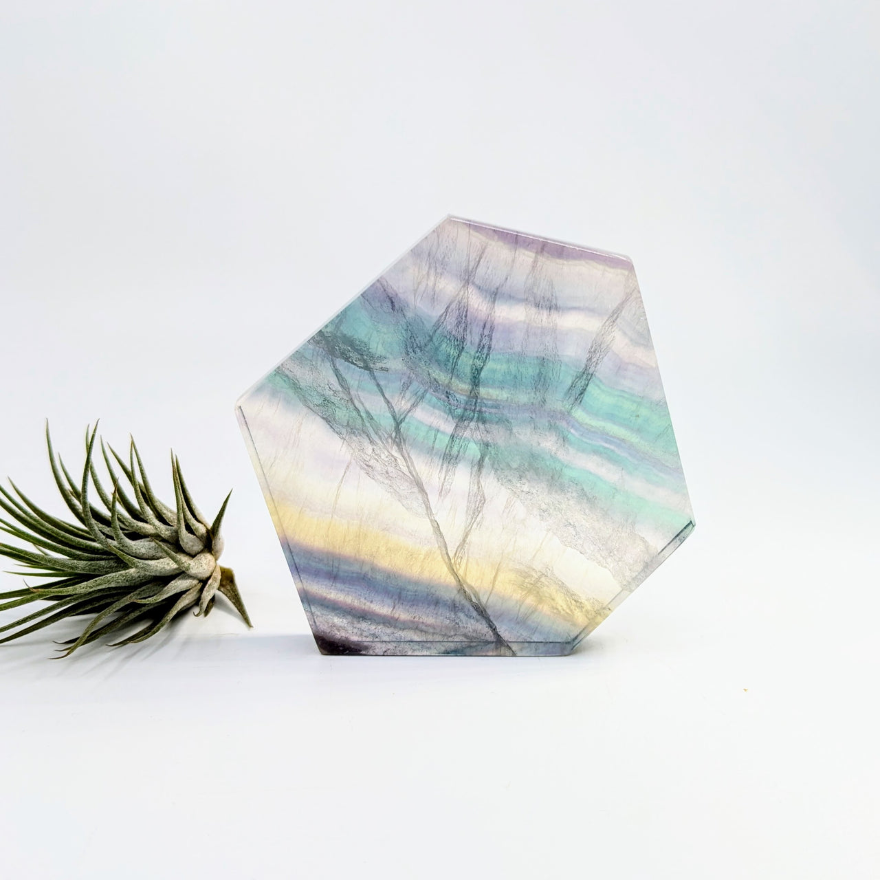 Fluorite  3.6" Geo Slice #LV6379