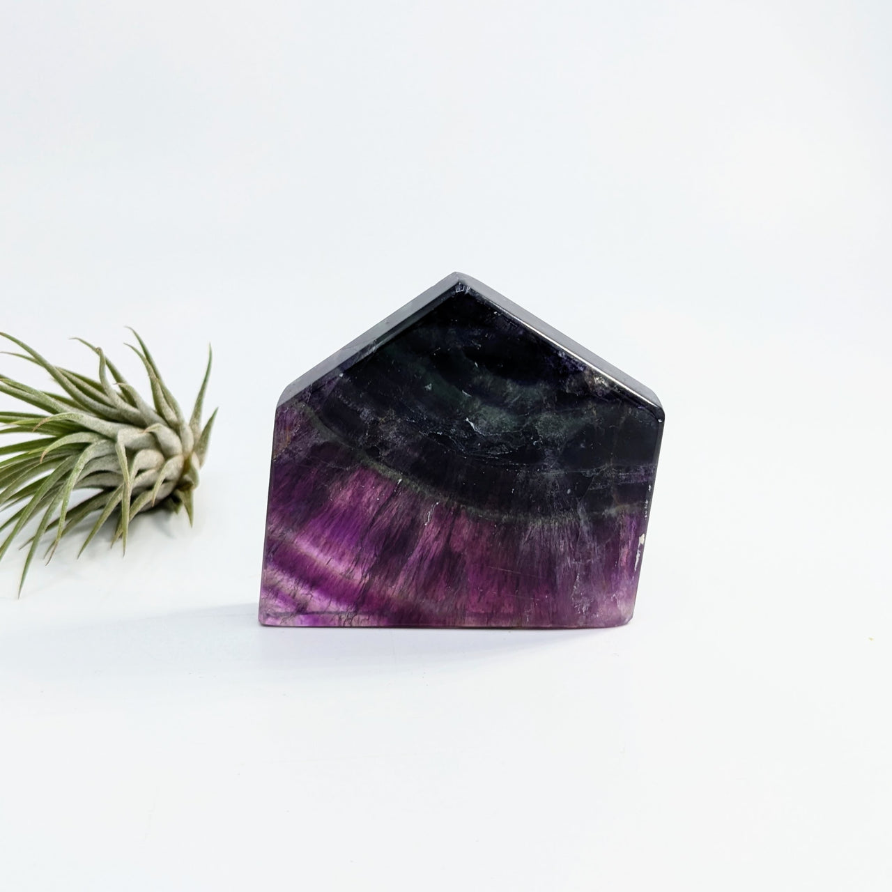 Fluorite  2.3" Geo Slice #LV6381