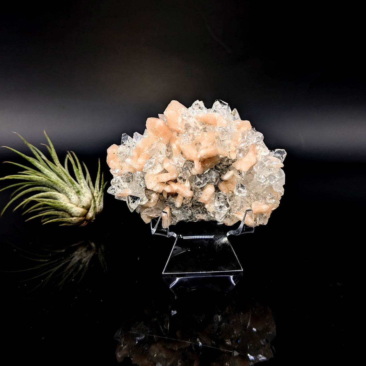 Diamond Apophyllite 2.9" Natural Cluster #LV6445