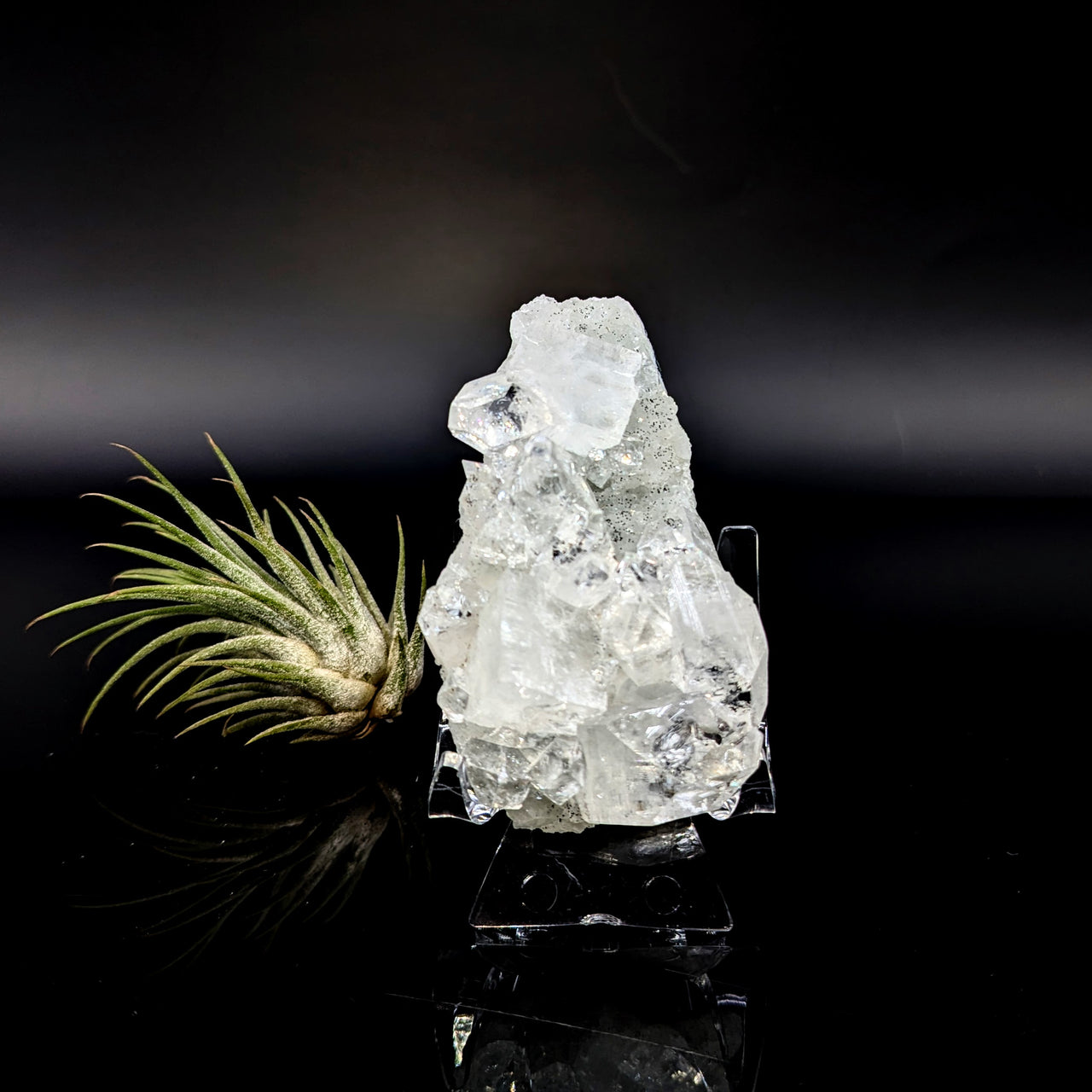 Diamond Apophyllite 2.9" Natural Cluster #LV6446