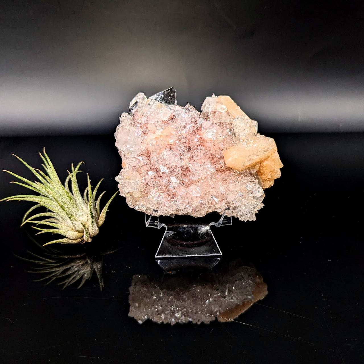 Diamond Apophyllite 3.3" Natural Cluster #LV6450