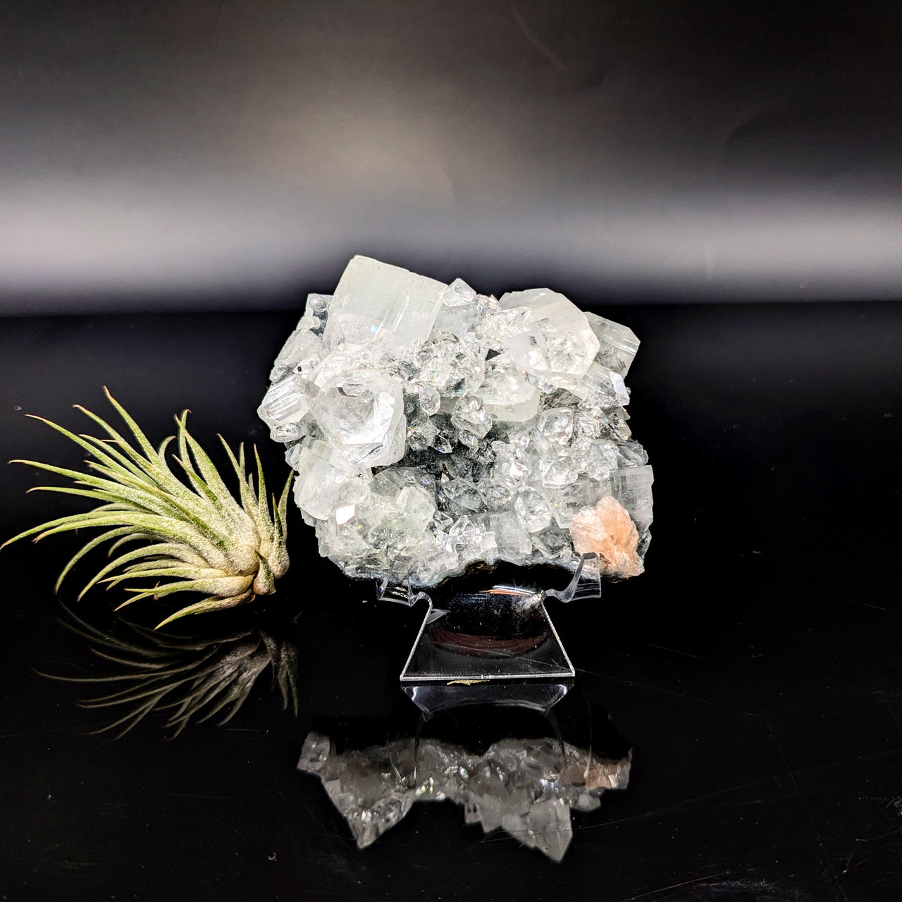 Diamond Apophyllite 3.3" Natural Cluster #LV6454