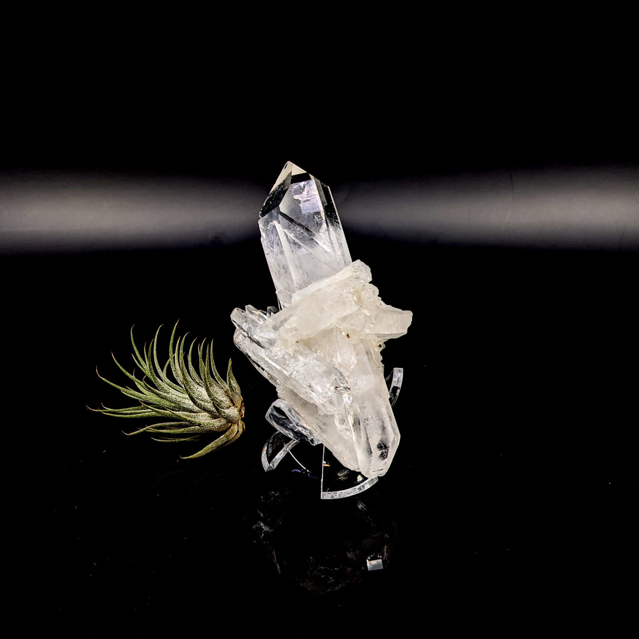 Clear Quartz 4.6" Natural Cluster #LV6468