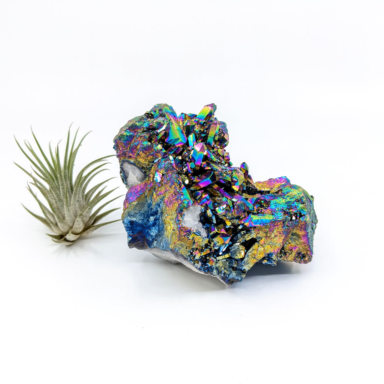 Titanium Aura Quartz 3.7" Druzy Cluster #LV6473