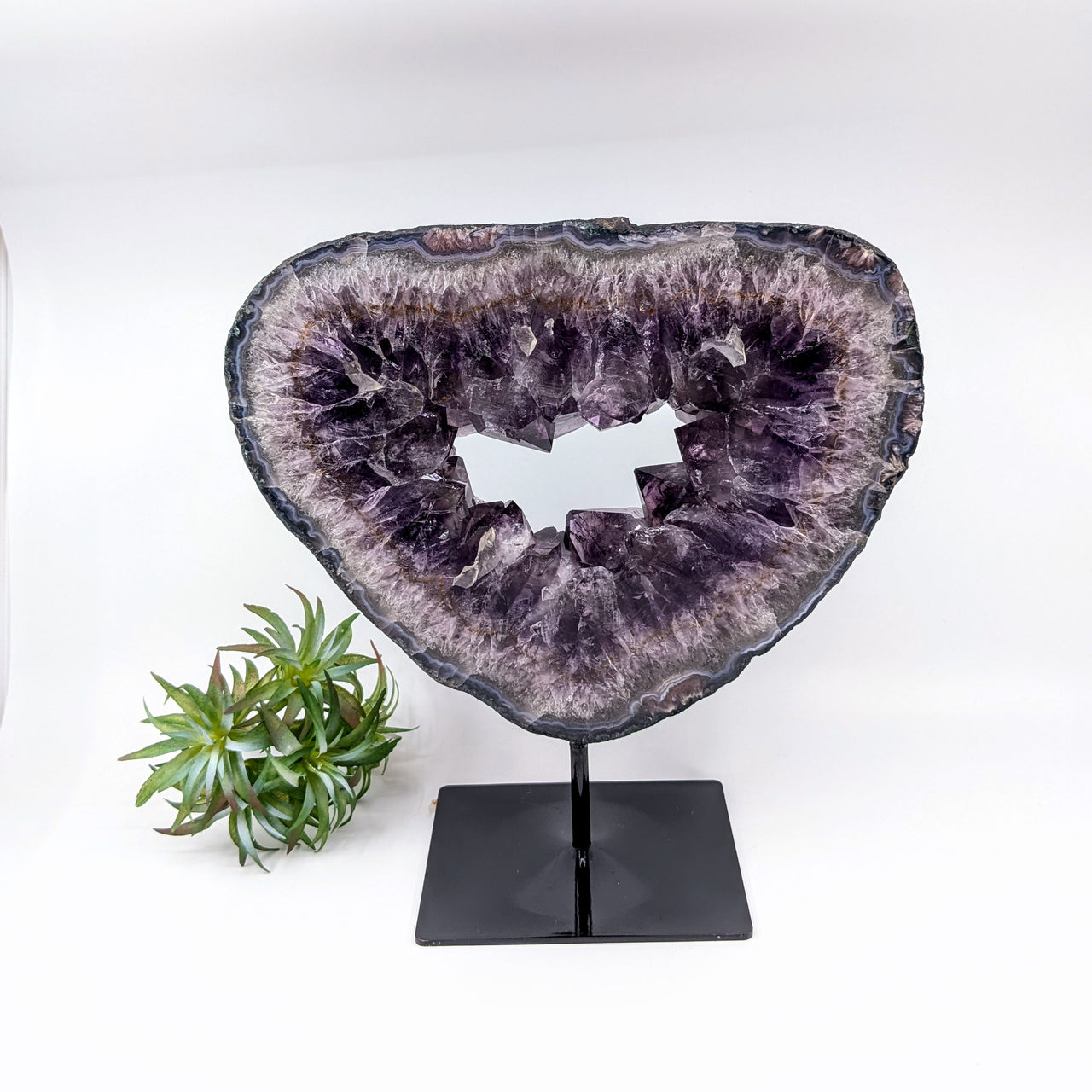 Amethyst Geode 10.8" Ring Specimen on Stand #LV6478