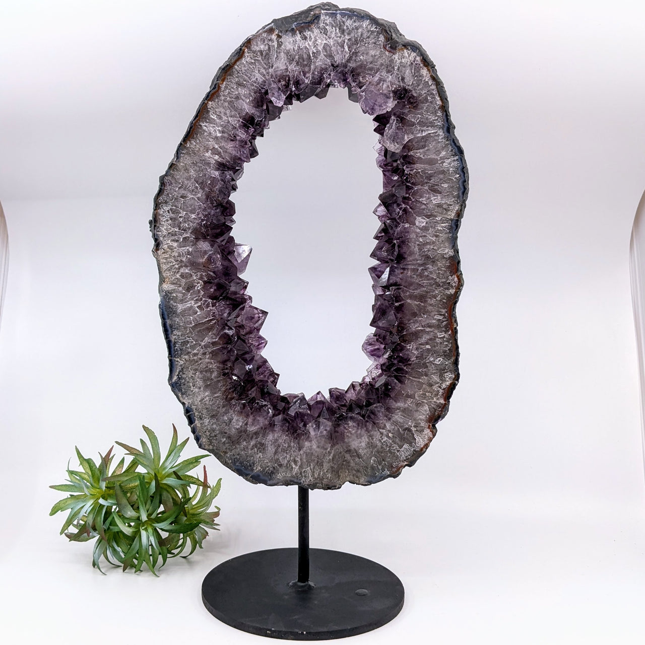 Amethyst Geode 13.3" Ring Specimen on Stand #LV6481