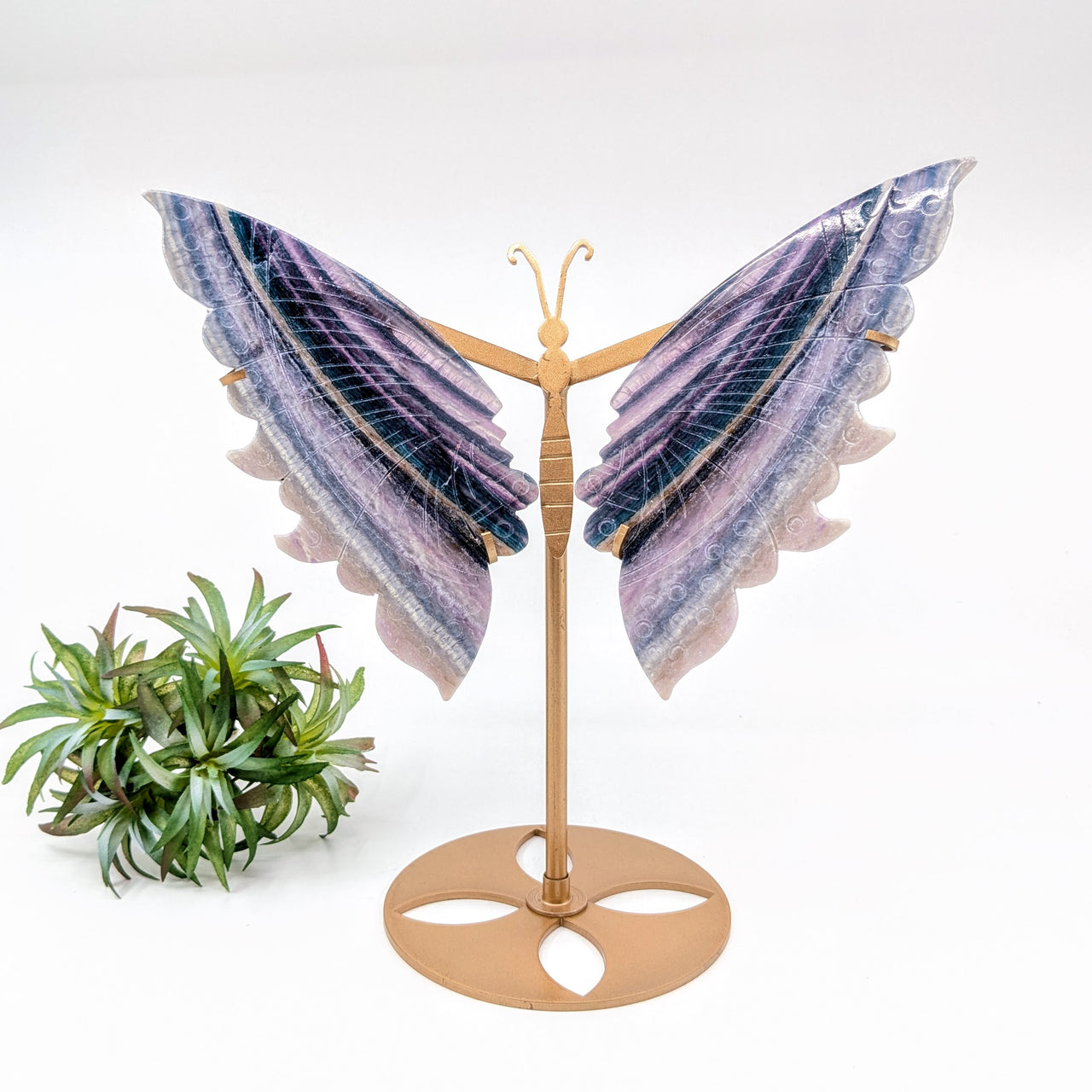 Fluorite 10" Butterfly on Stand #LV6485