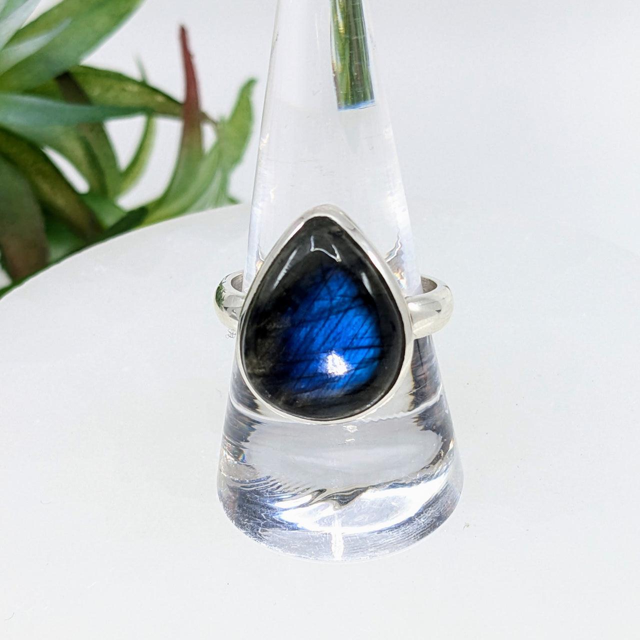 Labradorite Sz 9.75 Teardrop S.S. Ring #LV6501