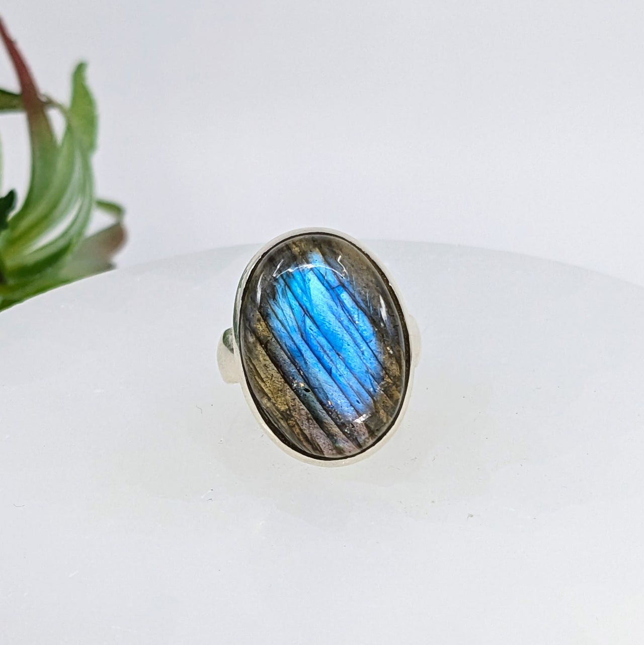 Labradorite Sz 6.25 Oval S.S. Ring #LV6502