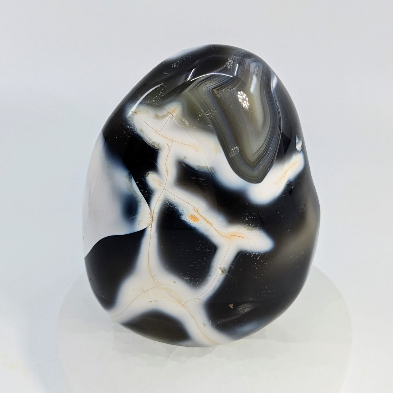 Orca Agate 3.6" Freeform #LV6555