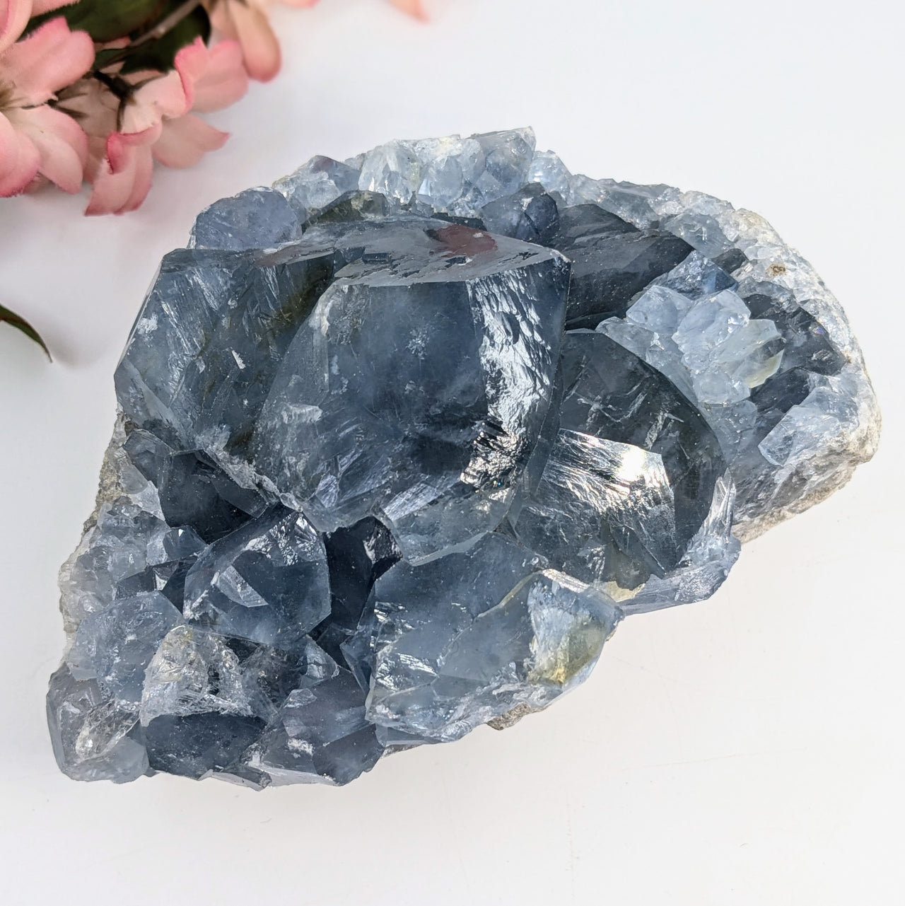 Celestite 5.3" Cluster #LV6570