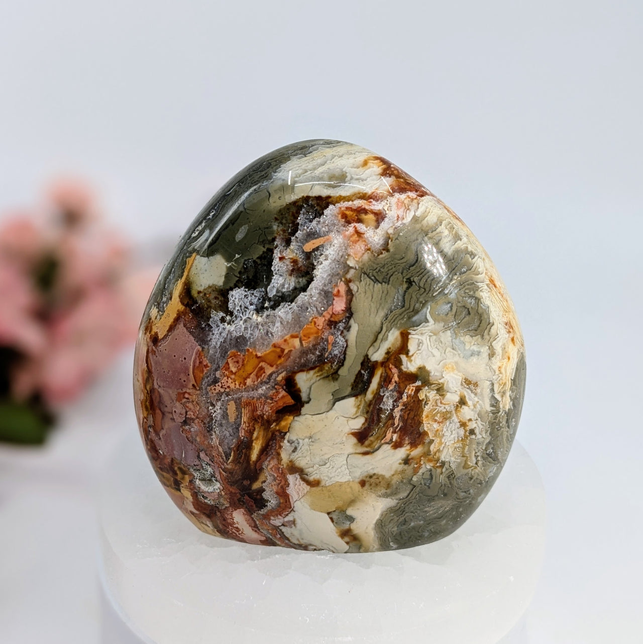 Polychrome Jasper 3.2" Freeform #LV6571