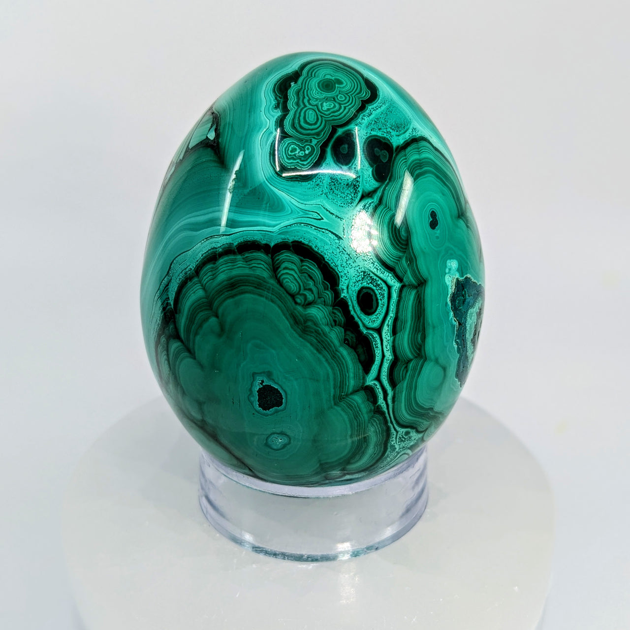 Malachite 3" Polished Egg Specimen #LV6590