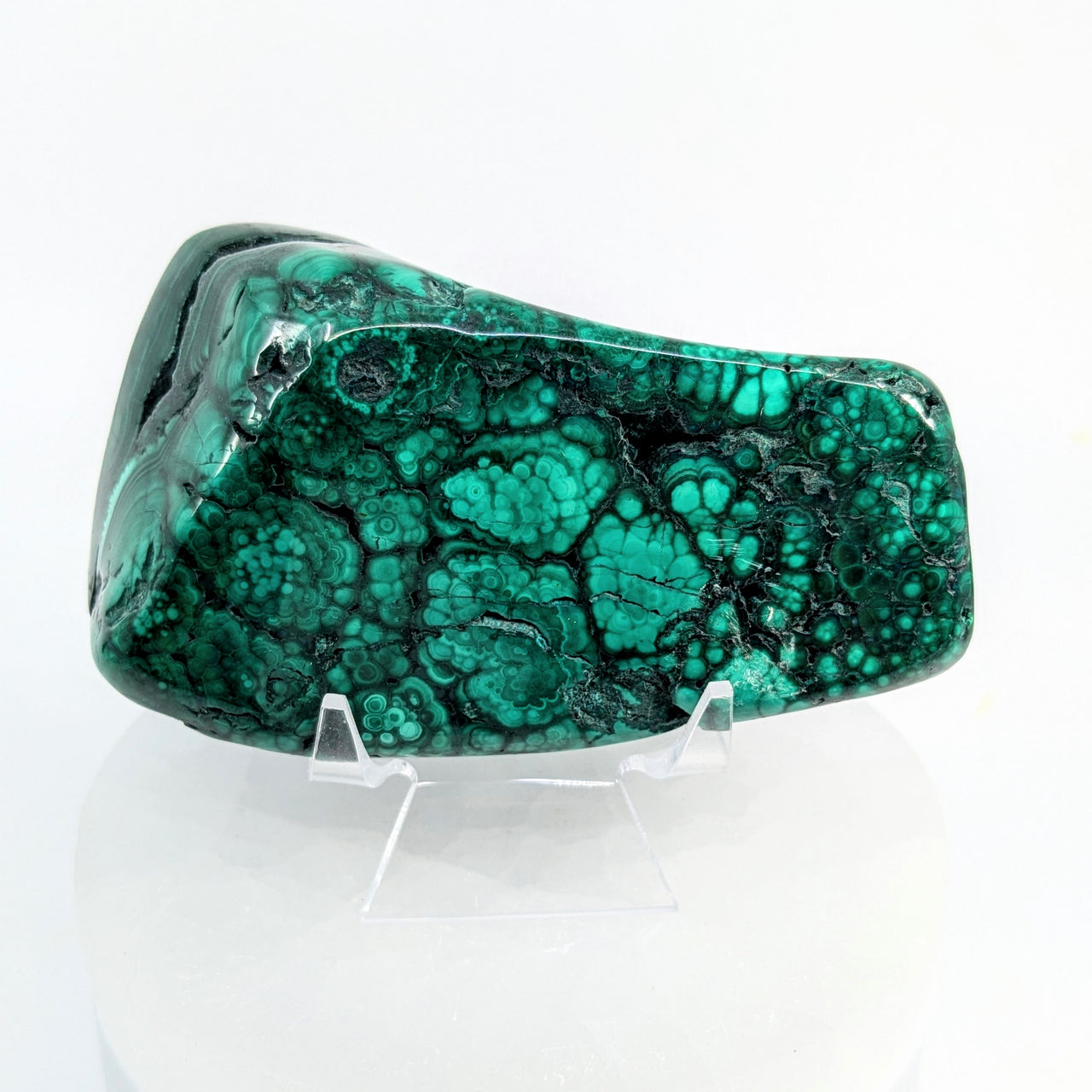 Malachite 3.6" Polished Specimen #LV6600