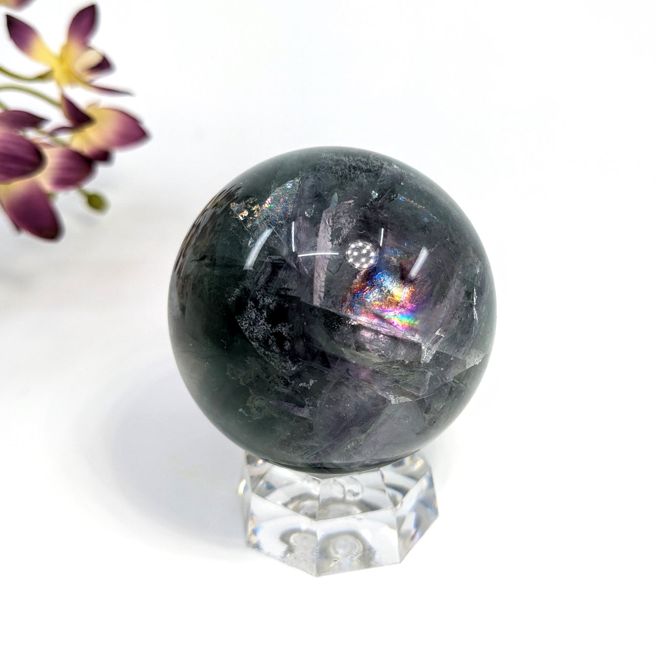 Fluorite 2" Sphere #LV6621