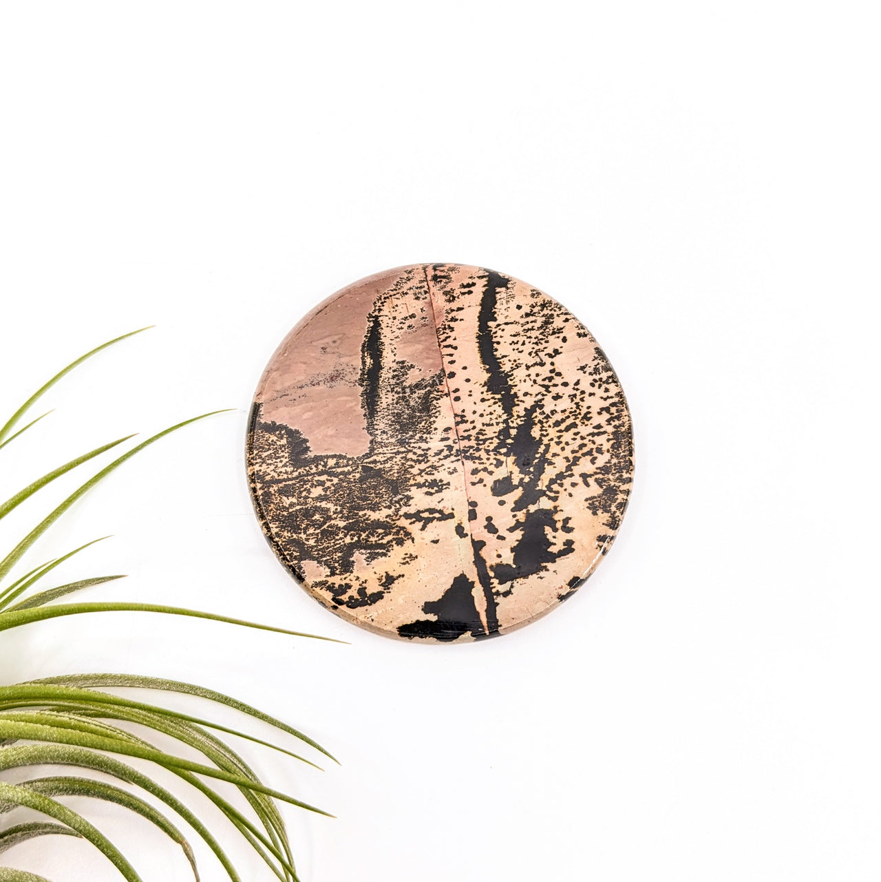 Dendritic Jasper 2.3" Disc #LV6638