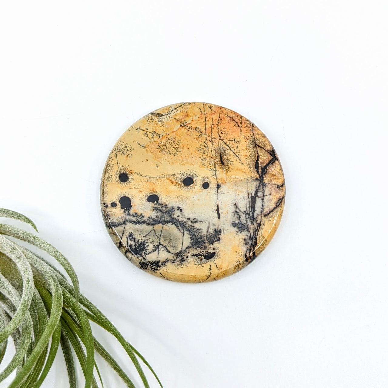 Dendritic Jasper 2.3" Disc #LV6640