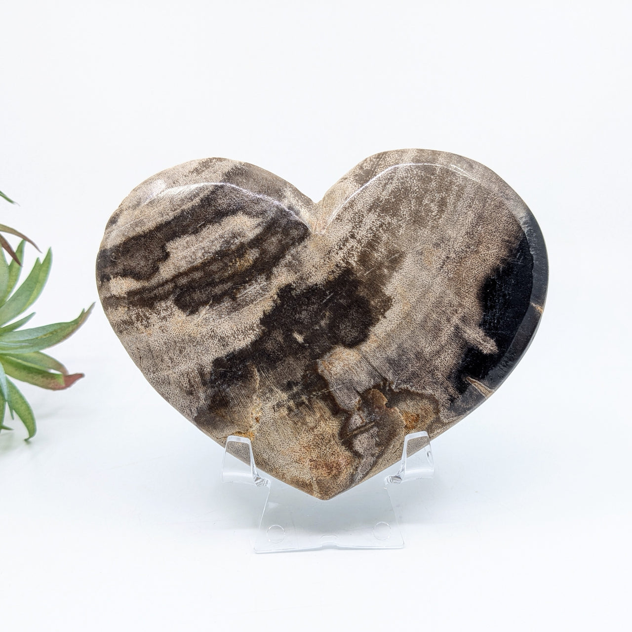 Petrified Wood 4.7" Heart #LV6657