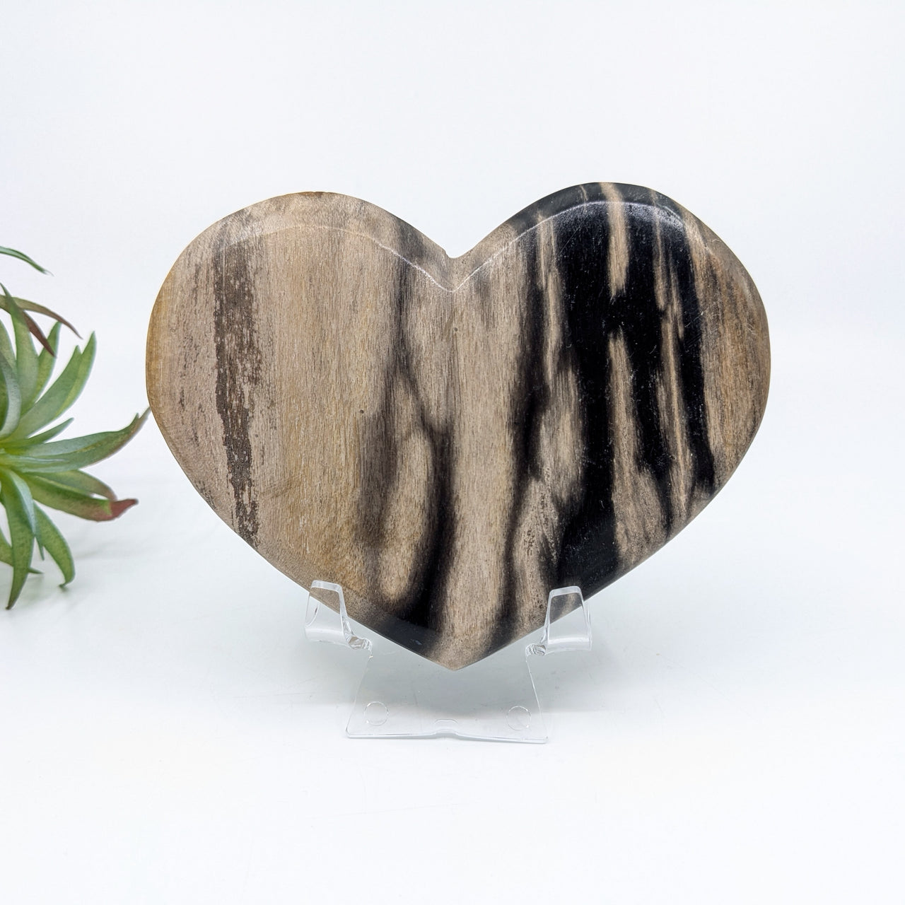 Petrified Wood 4.8" Heart #LV6660