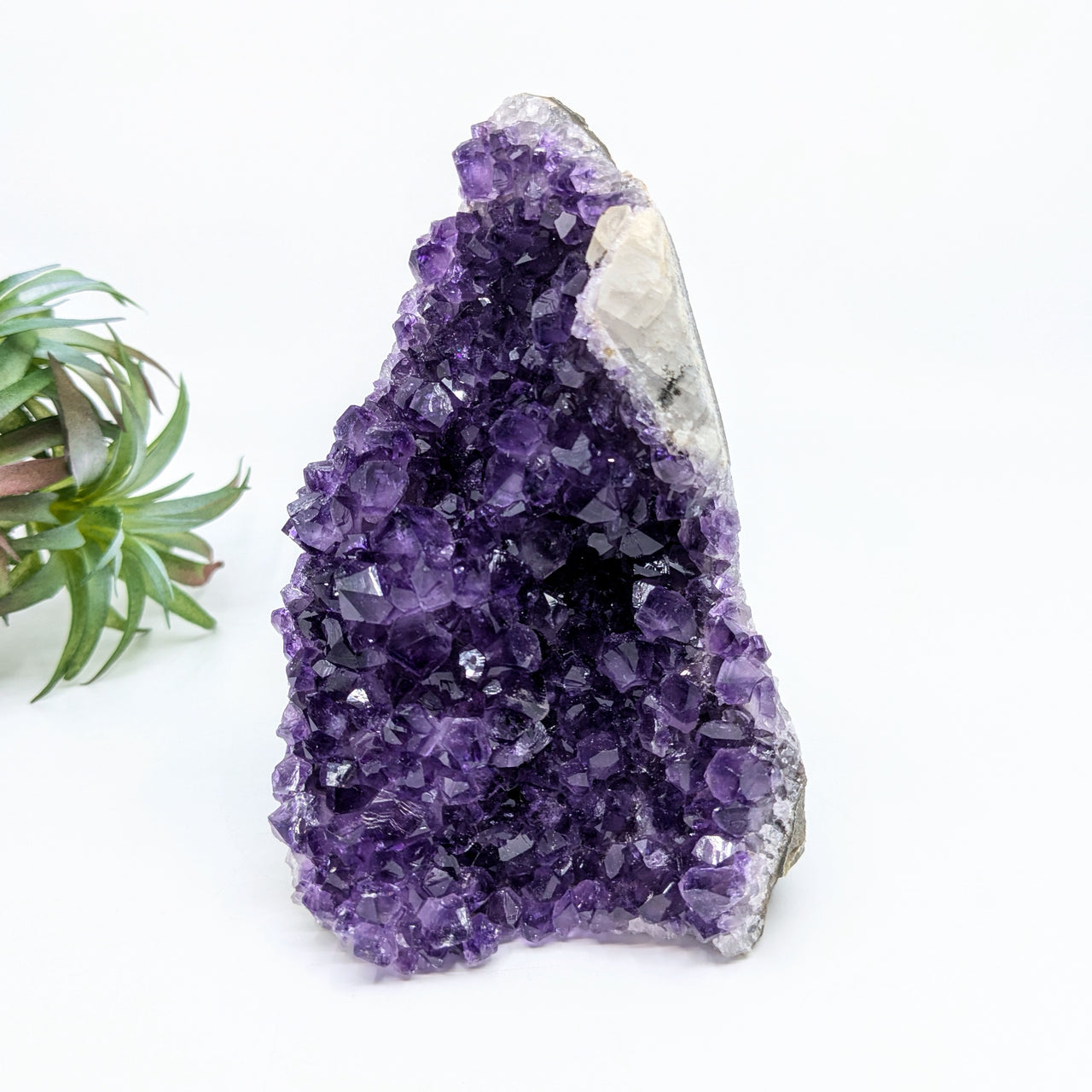 Amethyst 4.6" Cut Base Geode #LV6662