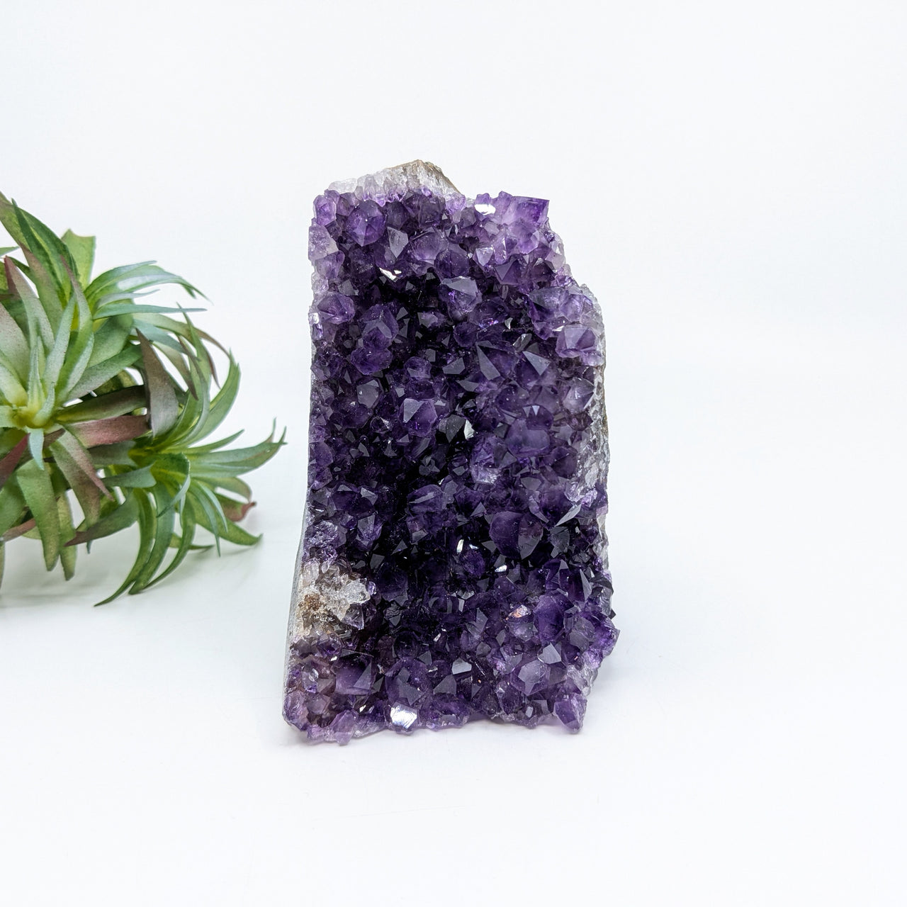 Amethyst 4.2" Cut Base Geode #LV6663