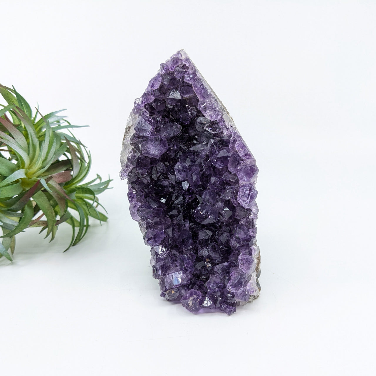 Amethyst 4.6" Cut Base Geode #LV6664