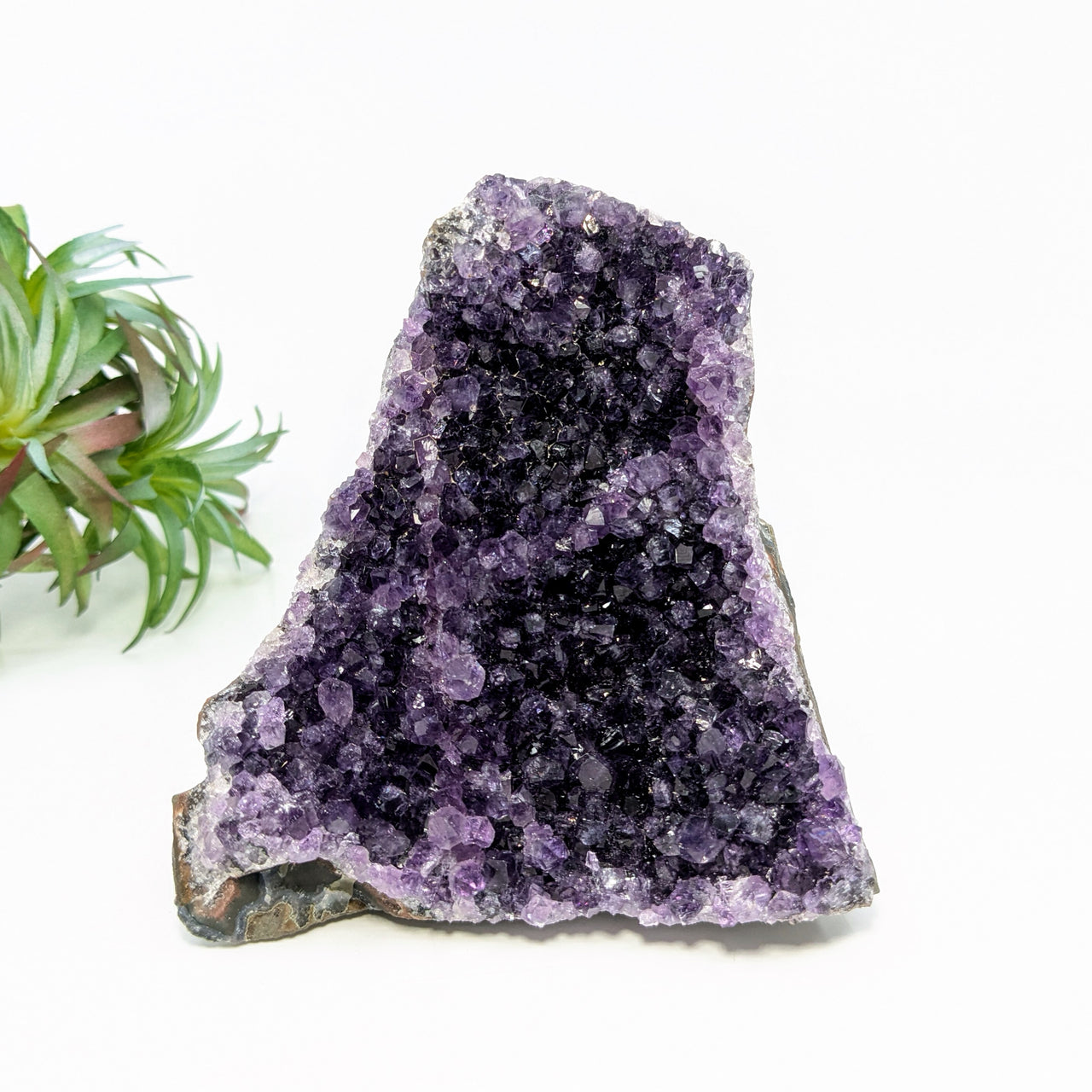 Amethyst 4.1" Cut Base Geode #LV6665