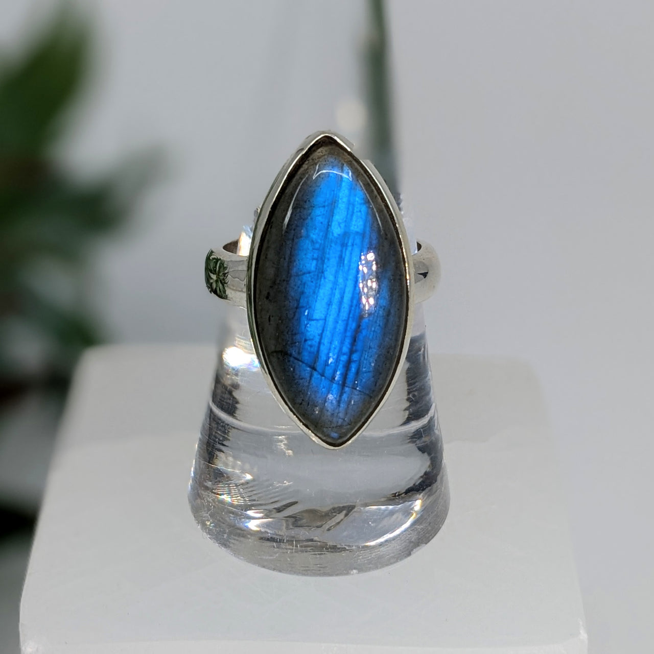 Labradorite  Sz 8 S.S. Marquis Ring #LV6716