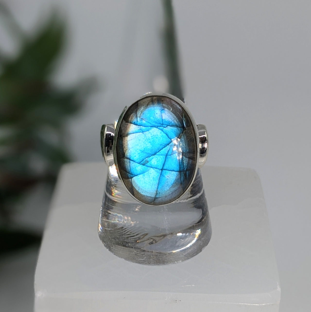 Labradorite  Sz 8.5 S.S. Oval Ring #LV6717