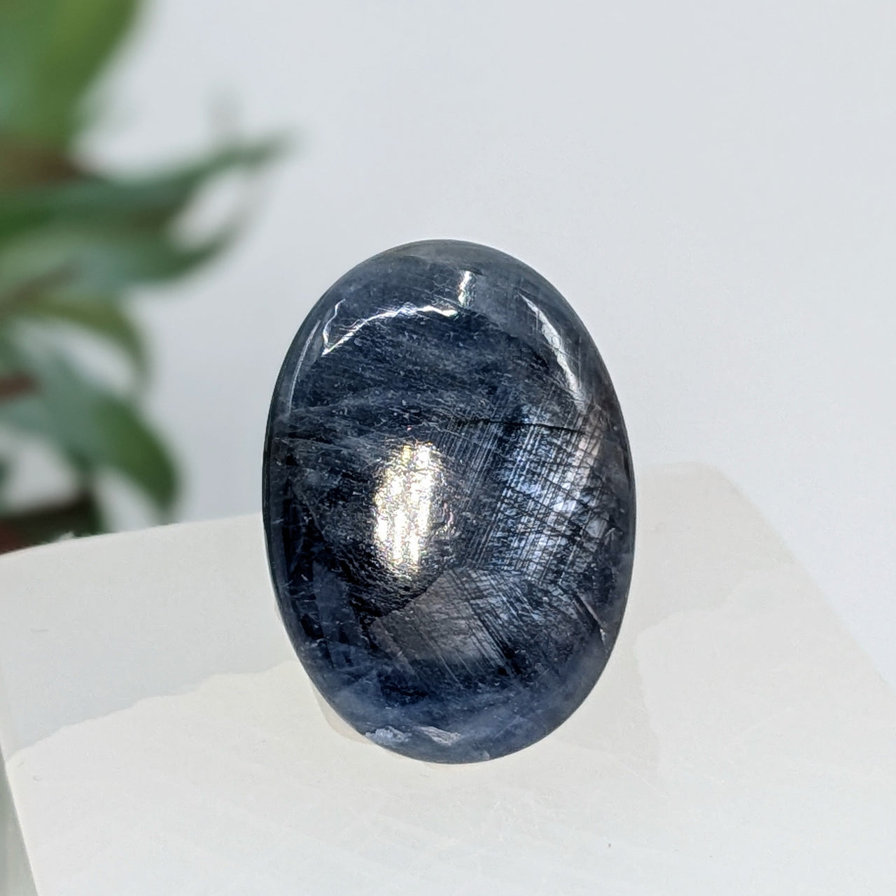 Blue Sapphire 1.1" Gem Quality Palm Stone #LV6718