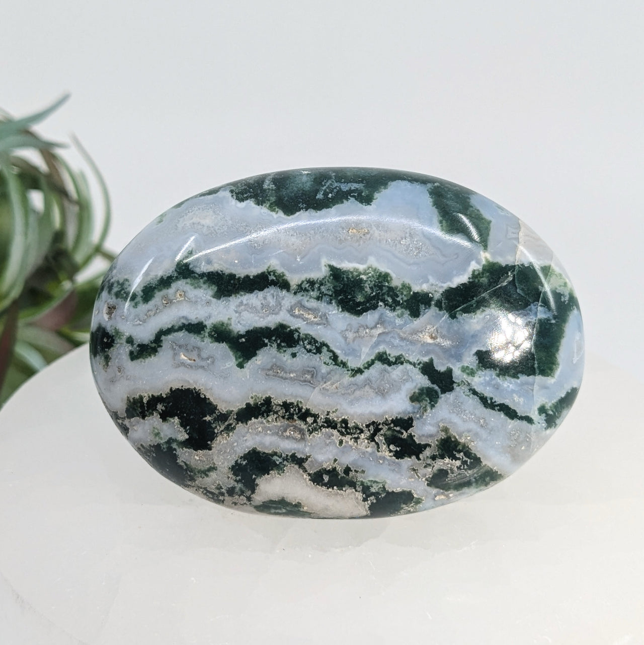 Green Zebra 2.3" Sardonyx #LV6733