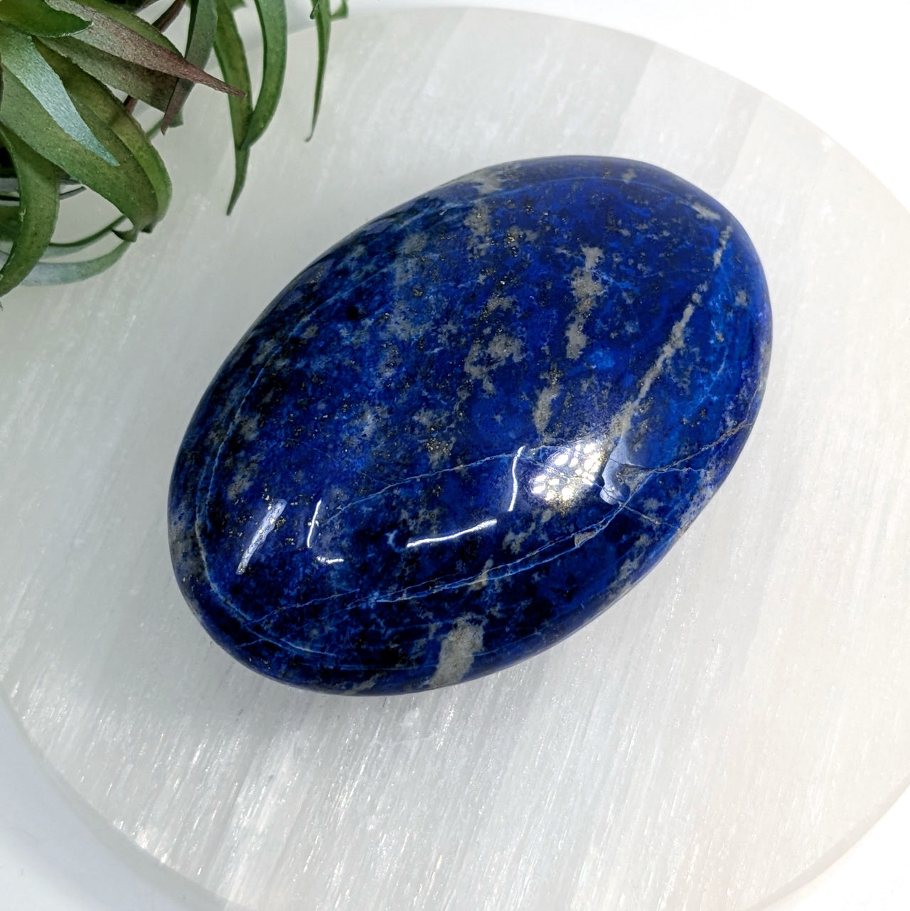 Lapis Lazuli 2.9" Palm Stone #LV6737