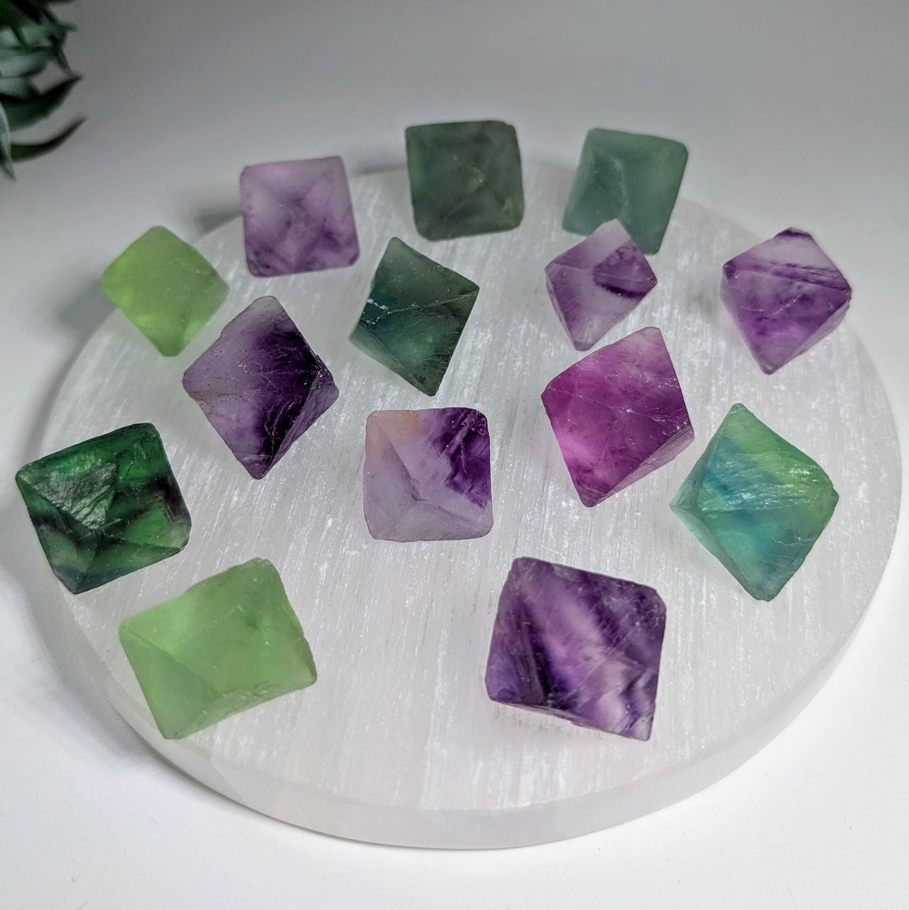 Fluorite Octahedron Choose Size #R180