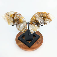 Thumbnail for Gold Hematoid Quartz Butterfly Wings with Stand #C140