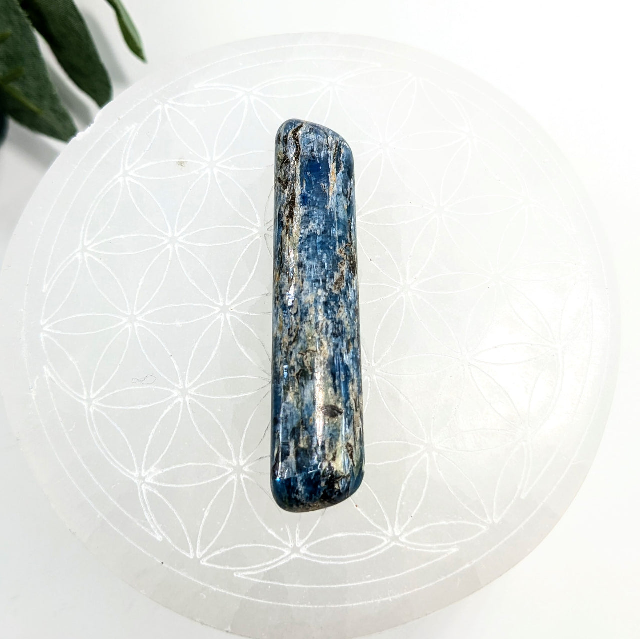 Paraiba Kyanite 1.8-2.6" Polished Gem Wand #LV6063