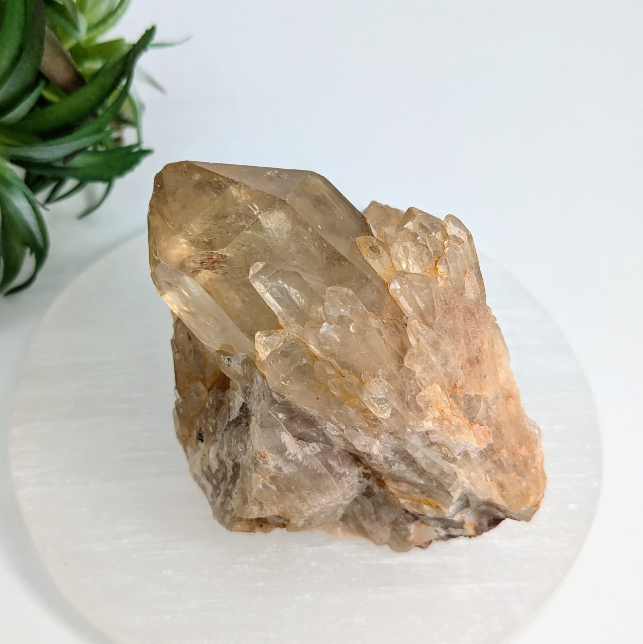 Congo Citrine 3.5" Natural Cluster with Phantom #LV6490