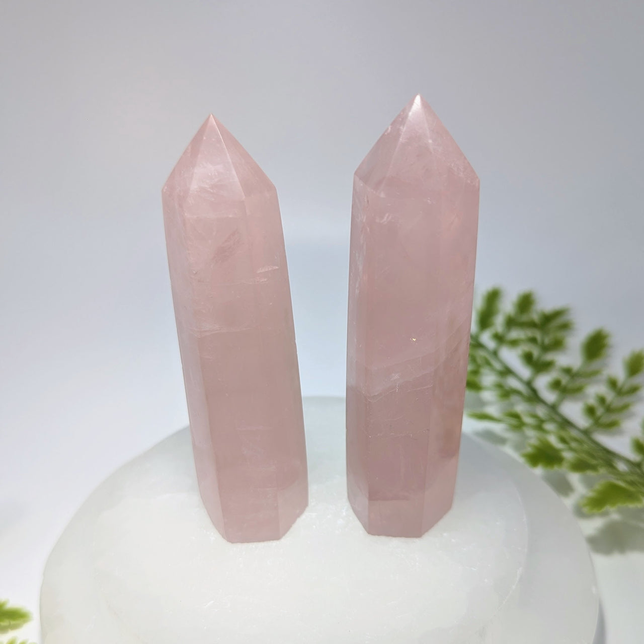 Rose Quartz 3.6"-3.8" Tower #BC0585
