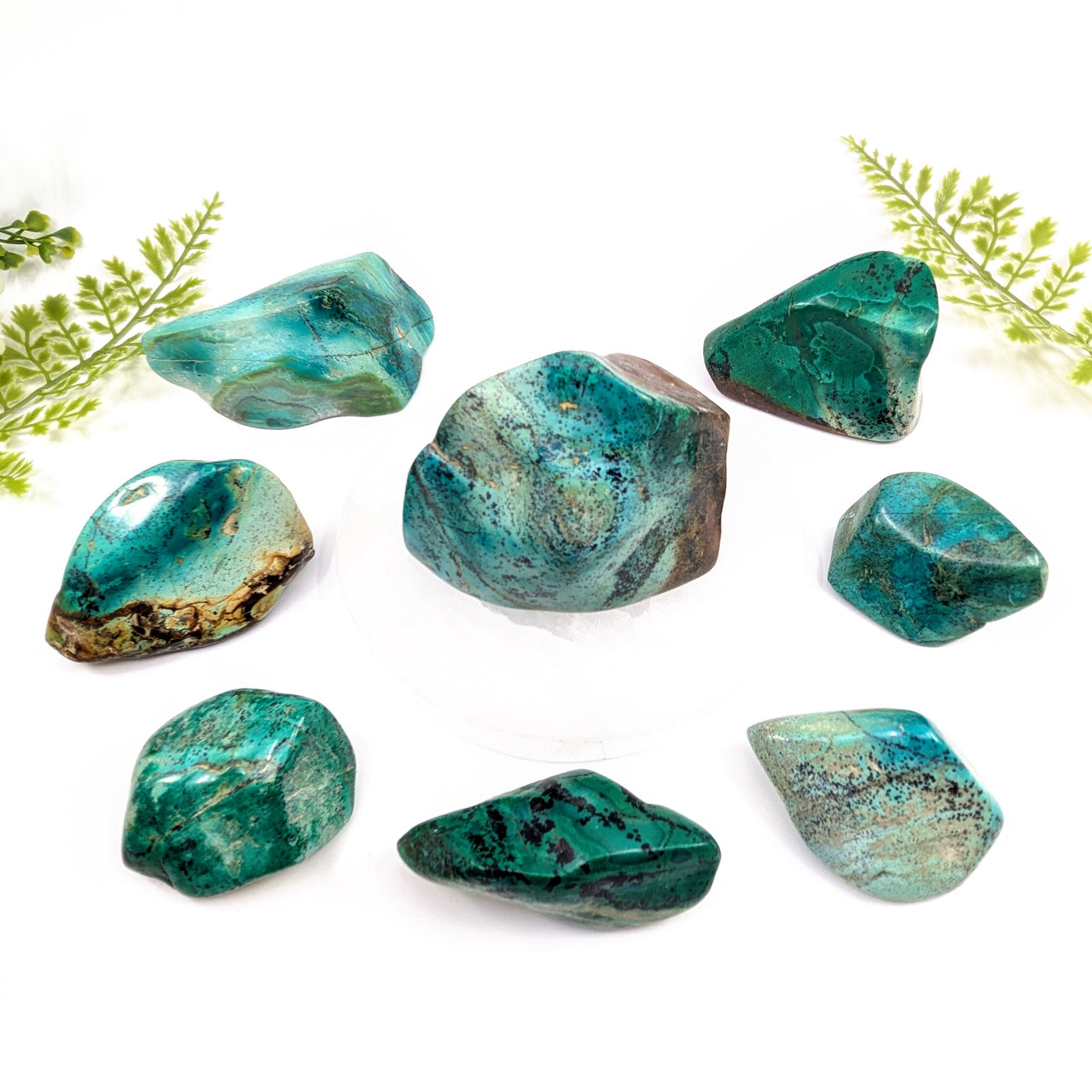 Arizona Chrysocolla 2 - 4" Tumbled Specimen #BC1762