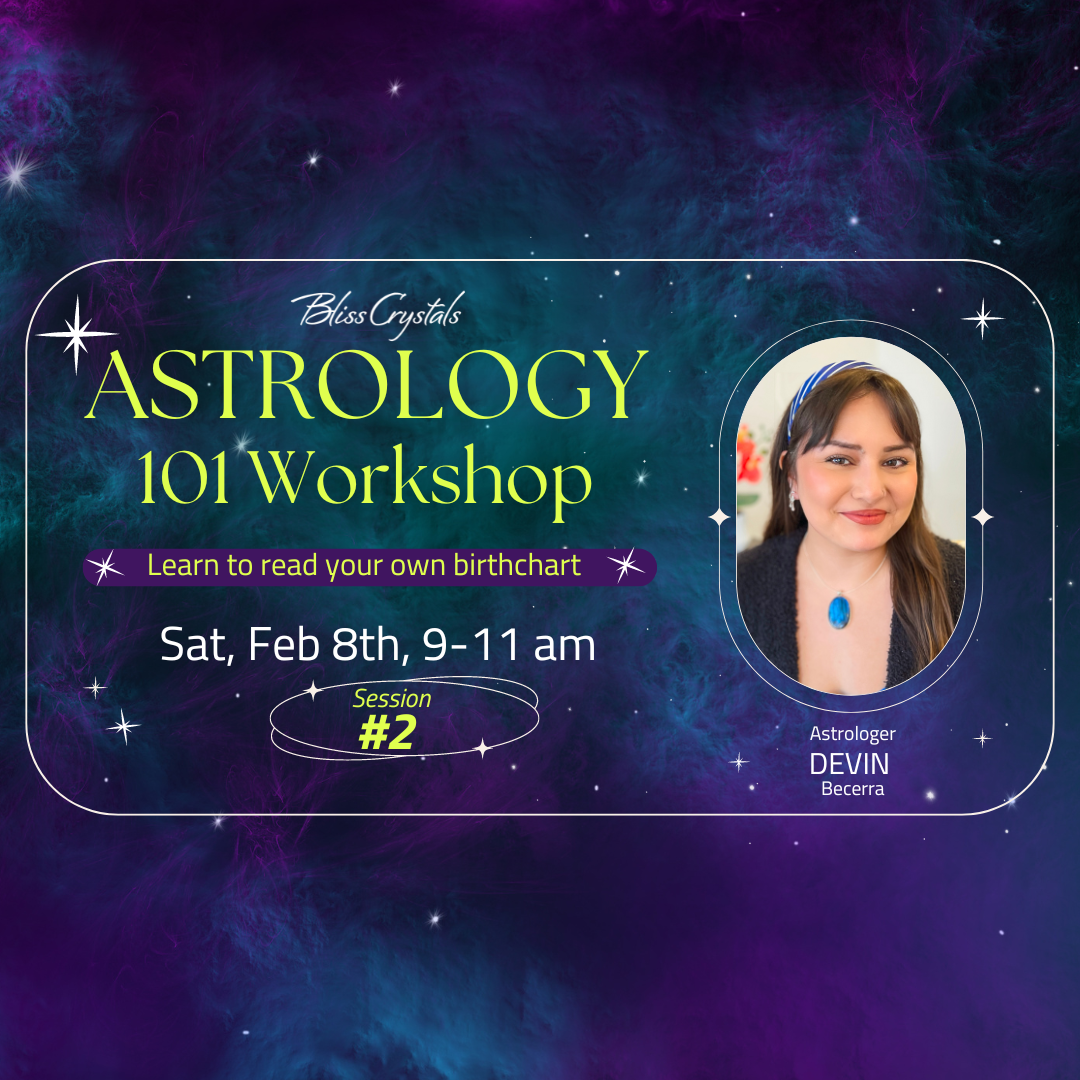 Astrology 101 Workshop - Session #2 - Feb 8, 2025 with Devin