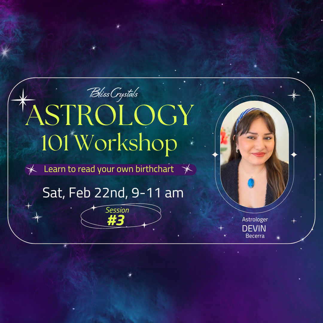 Astrology 101 Workshop - Session #3 - Feb 22, 2025 with Devin