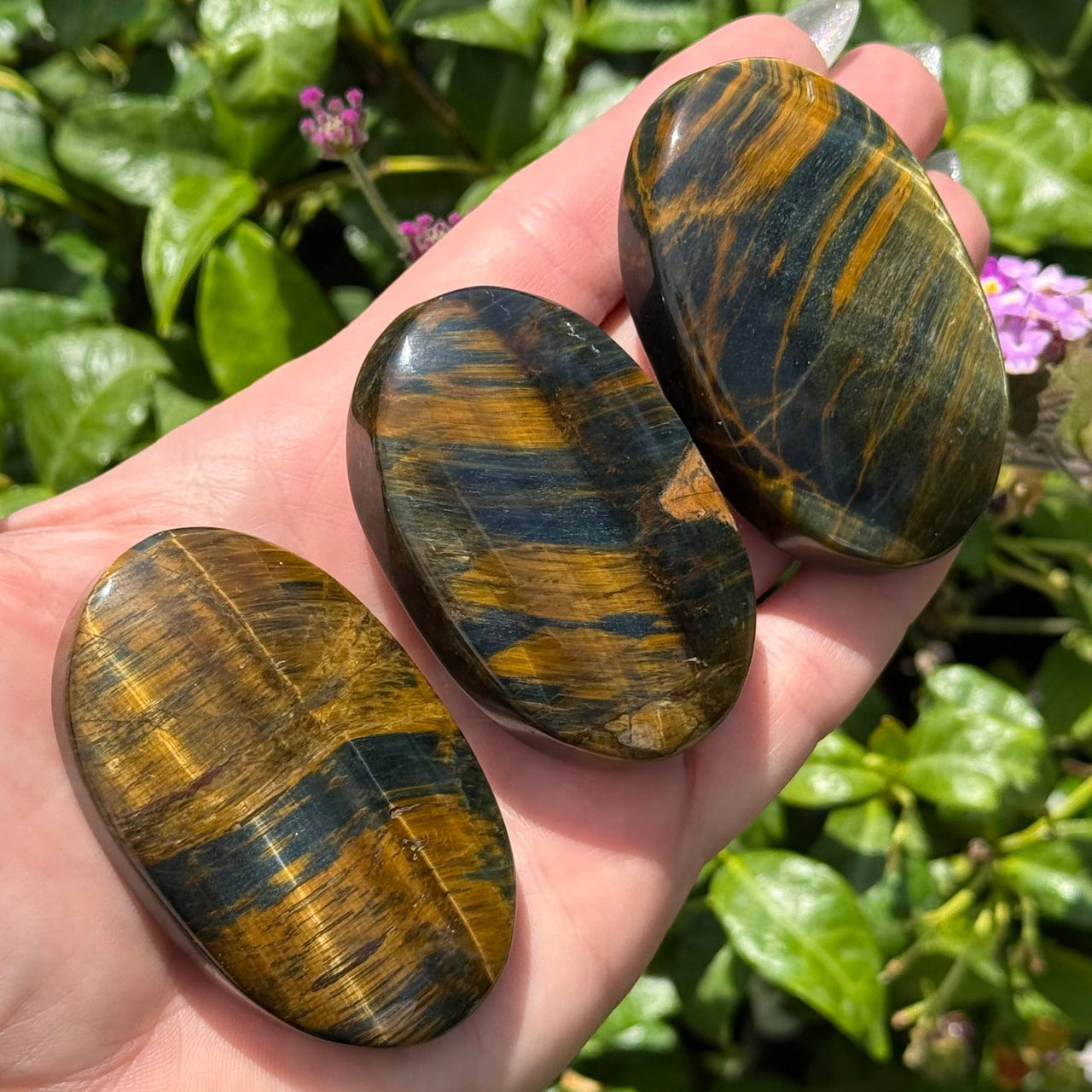 Blue and Gold Tiger Eye Palm Stone #BC0567