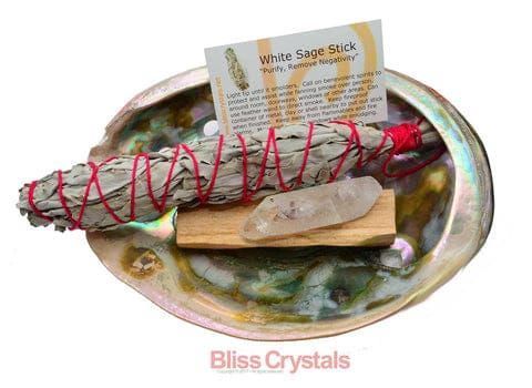 Abalone - Crystal Healing Magic from the Sea