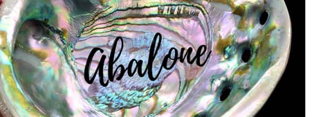 Abalone - Crystal Healing Magic from the Sea